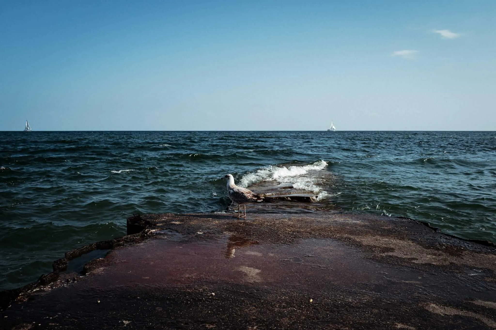 A seagull stands on a weathered, rust-stained concrete pier jutting into a choppy dark green lake, with waves washing over the structure. Two small sailboats are visible on the distant horizon beneath a clear blue sky.