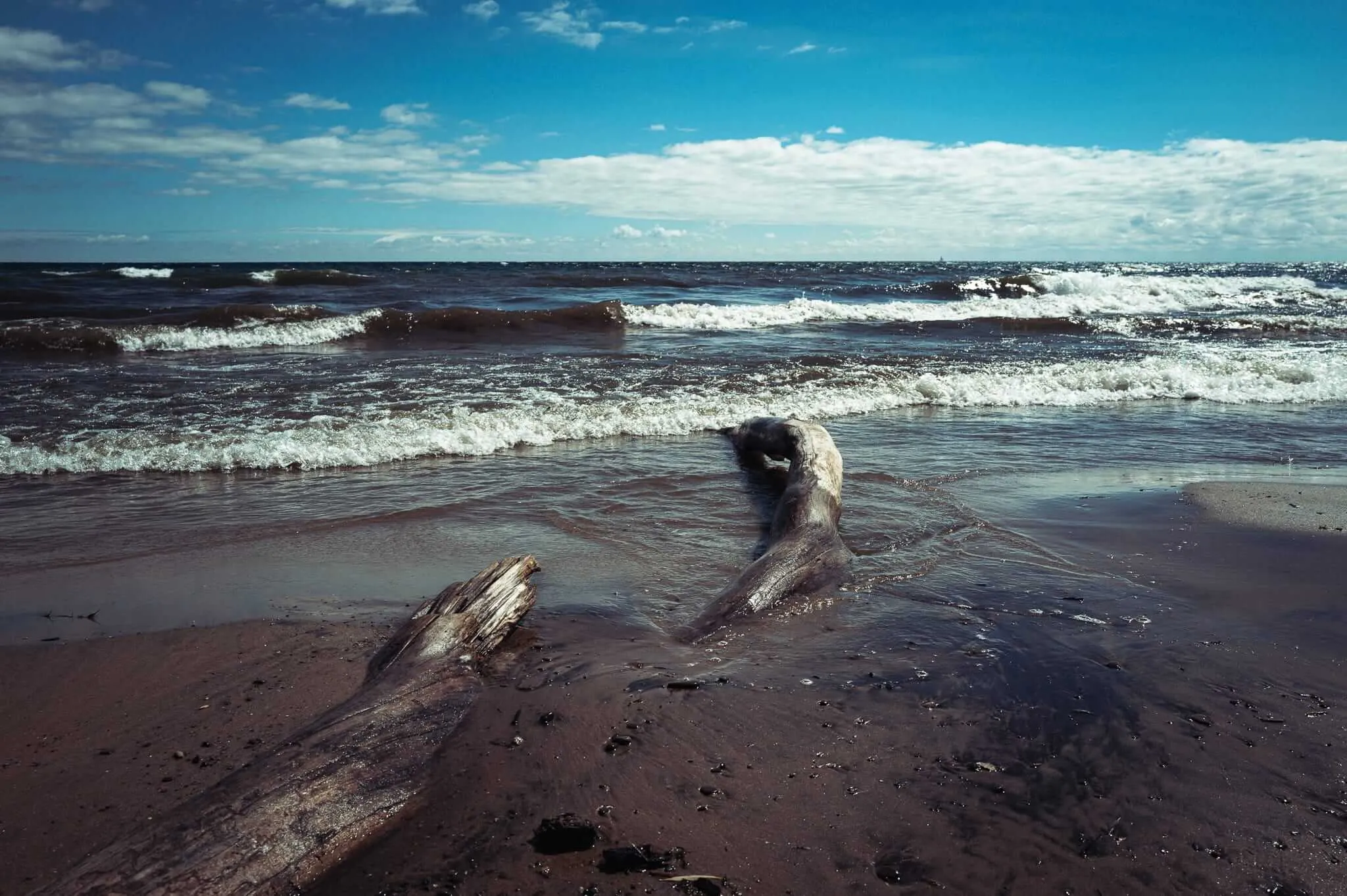 A large weathered driftwood log lies partially submerged at the shoreline of a turbulent lake beach, with foamy waves breaking in the background beneath a vivid blue sky filled with scattered white clouds.