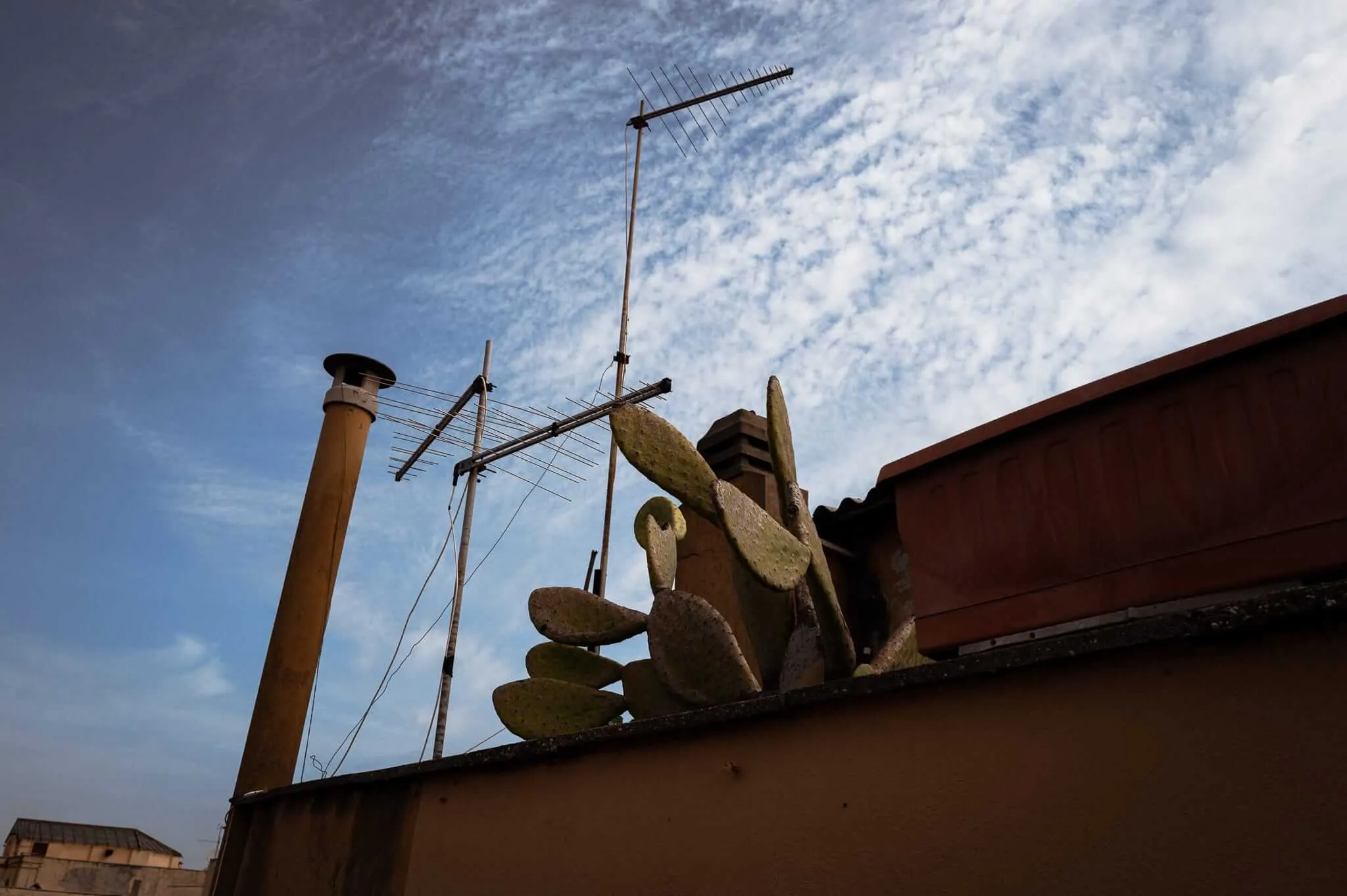 A low-angle view of a rooftop showing television antennas, a cactus, and weathered roof tiles against a cloudy sky, with a cylindrical chimney visible on the left side